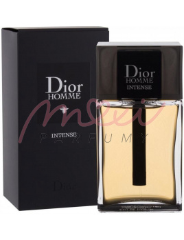 Christian Dior Homme Intense 2020, Parfumovaná voda 100ml - tester
